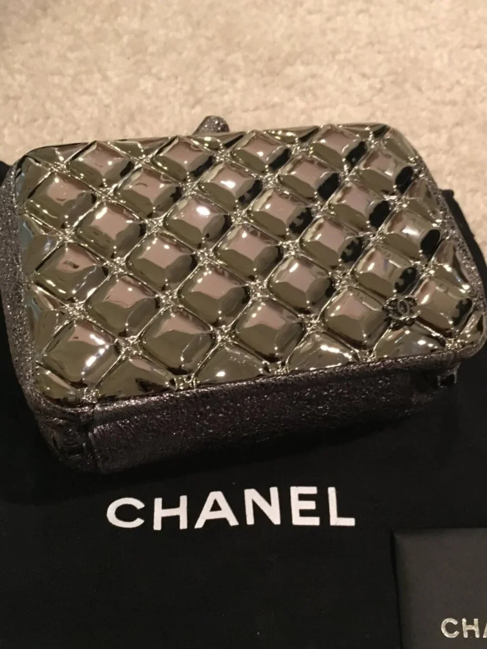 CHANEL RUNWAY BAG - Lions head - DK Silver Metal & Leather Clutch